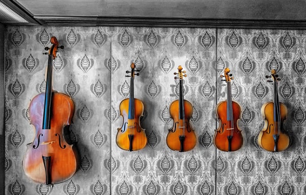 Violon Allegro Musique